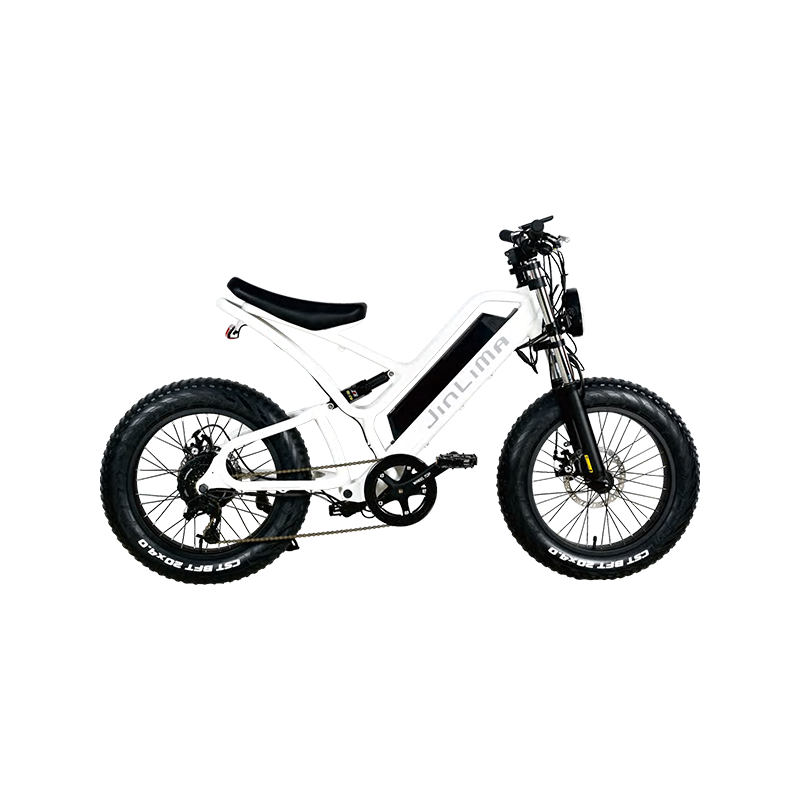 HYB-030 20 "Step-in Commuter E-Bike