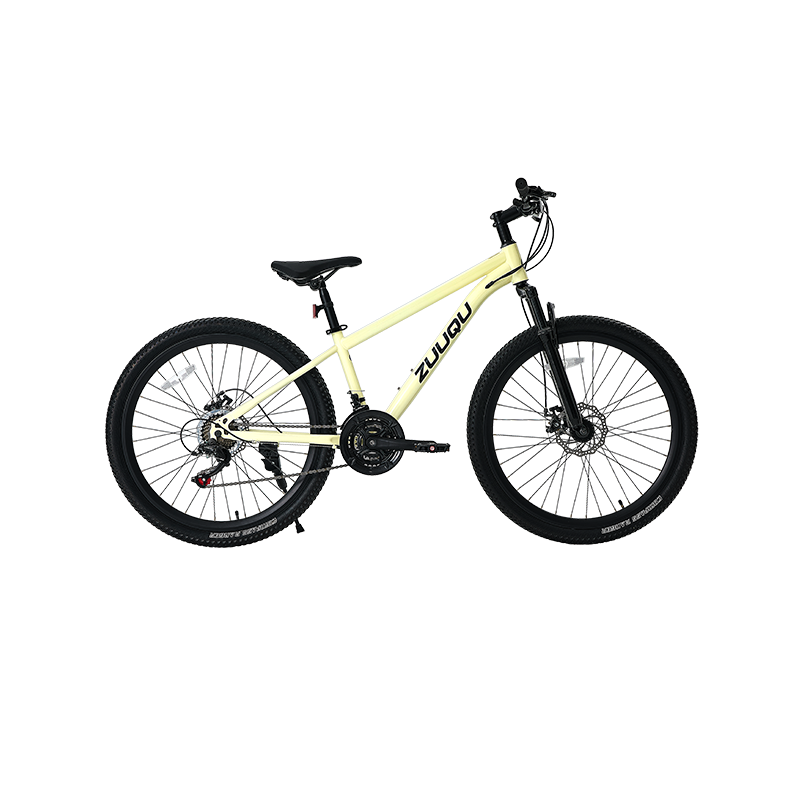 21 SPEED DISC BRAKE 26 "MTB